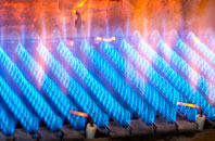 Pathstruie gas fired boilers